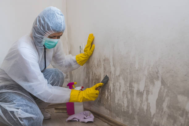Water Damage Restoration in Perry, KS