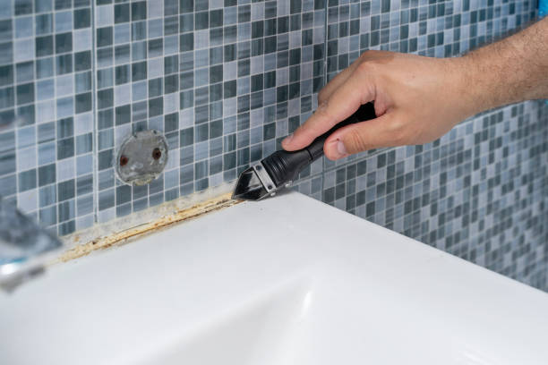 Perry, KS Mold Removal Company