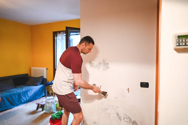 Best Attic Mold Removal  in Perry, KS