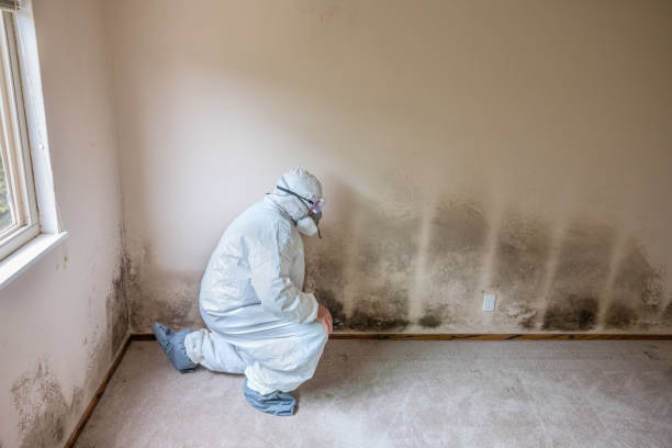 Best Emergency Mold Removal  in Perry, KS